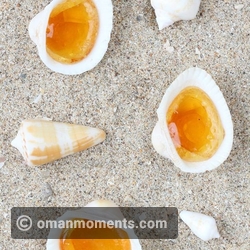 2. Roudoudous - France